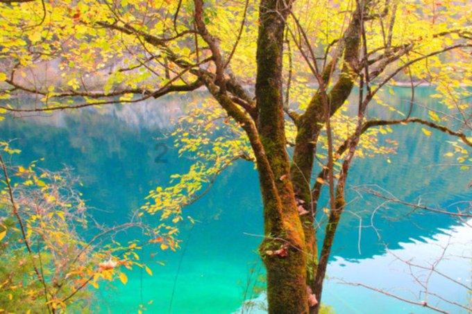 伊金霍洛旗第十八届人民代表大会第三次会议举行第二次全体会议