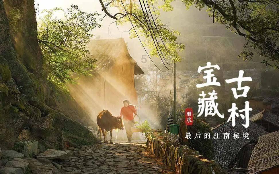 救援小蝙蝠