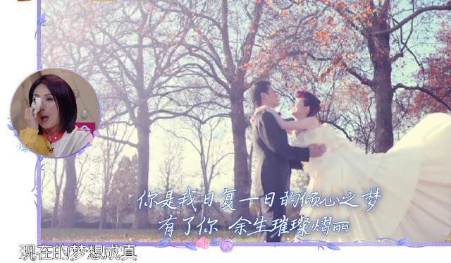 萌宠好又多