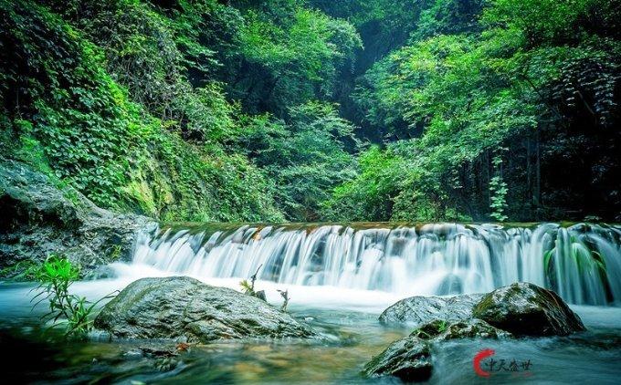 细胞分裂4