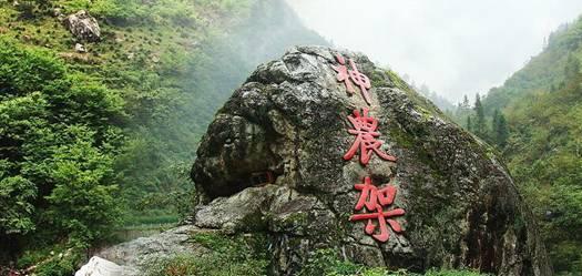 消费+投资 高质量上台阶