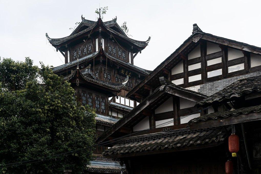僵尸女友爱爬树