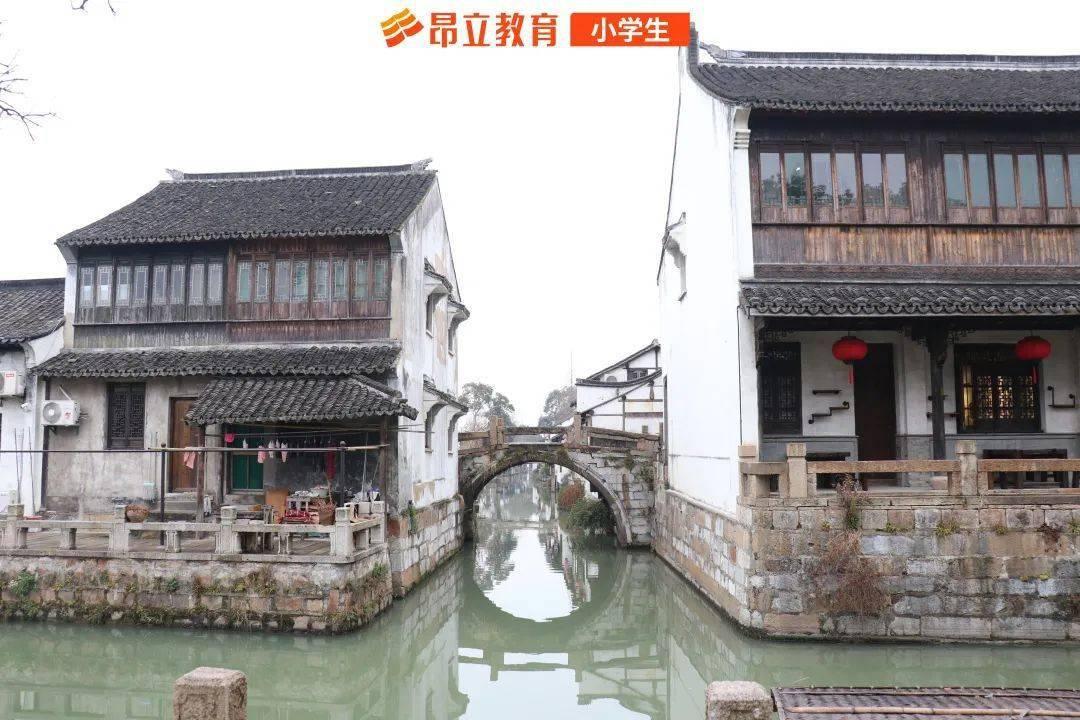 平安产险山东分公司获颁成为济南市宠物协会副会长单位